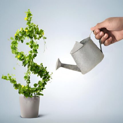 Investment advice (looking for direction and growing yourself)