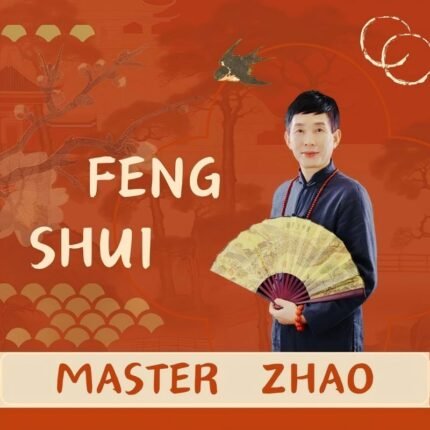 Feng Shui Consultation